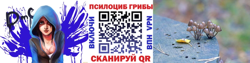 Галлюциногенные грибы MAGIC MUSHROOMS  Купить  Плавск 